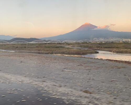 9D9D42ED-D96E-43C6-AA92-138113E023C1